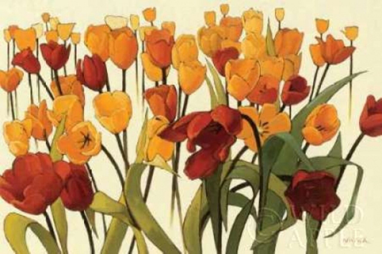 Tulipomania Poster Print by Shirley Novak - Item # VARPDX5703
